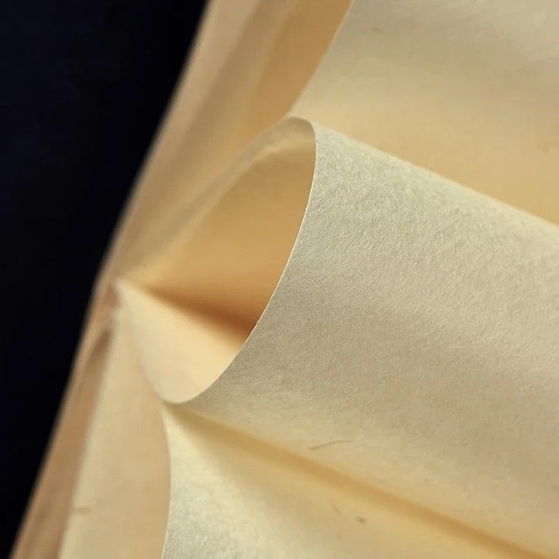 Elegant-bamboo-paper-products-photo-07